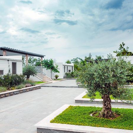 Poseidon Mobile Home Resort ماكارسكا المظهر الخارجي الصورة